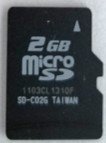 A 2 GB microSD card. This card is substantially smaller than a standard SD card and used in devices such as cell phones to add more storage capacity.